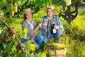 Couple of winegrowers tasting white wine in vineyard Royalty Free Stock Photo