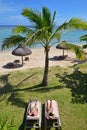 A couple sunbathing on sundeck chairs in palm tree shade at Le Morne beach, Mauritius Royalty Free Stock Photo