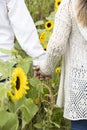 Couple in Sunflower field Royalty Free Stock Photo