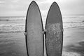 Couple of surfers behind the surfboards Royalty Free Stock Photo