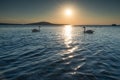 Couple of swans in the sea at sunset Royalty Free Stock Photo