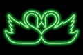 A copuple of swans touching each other's heads. A couple of birds in love. Green neon outline Royalty Free Stock Photo