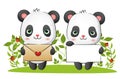 The couple of sweet panda is holding a love letter and a blank paper for valentine Royalty Free Stock Photo