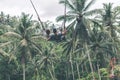 Couple swings in the deep jungle of Bali island. Royalty Free Stock Photo