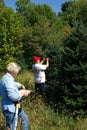 Couple Tagging Christmas Trees