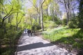A couple takes walk in Central Park in the Spring, New York City, New York