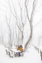 Couple taking a break while hiking on snowy winter day Royalty Free Stock Photo