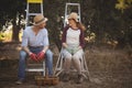 Couple talking while sitting on ladders at olive farm Royalty Free Stock Photo