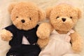 A couple teddy bear pose like they had a wedding