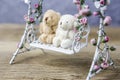 Couple teddy bear on swing