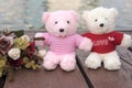 couple teddy bears picnic in garden