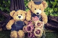 Couple teddy bears with rose in the garden