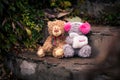 Couple of teddy bears sitting together on the stone stairs
