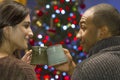 Couple toast each other during holidays, horizontal