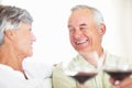 Couple toasting with red wine. Smiling mature man and woman toasting with red wine at home. Royalty Free Stock Photo