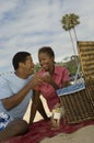 Couple Toasting Wine Glasses On Beach Royalty Free Stock Photo