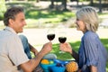 Couple toasting wine in park Royalty Free Stock Photo