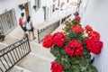 Couple tourist in Mijas