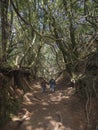 Couple of tourist walking holding hand on Sendero de los Sentido