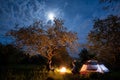 Couple tourists sitting at a campfire near tent under trees and night sky with the moon. Night camping Royalty Free Stock Photo