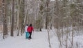 Couple train nordic walking in winter forest. Copy space.