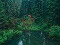 couple travelers hikers reach mountain lake in forest