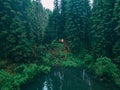 couple travelers hikers reach mountain lake in forest