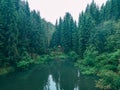 couple travelers hikers reach mountain lake in forest