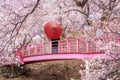 couple traveller with a red umbrella and walking over the bridge Royalty Free Stock Photo