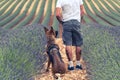 Couple travellers in lavender fields in Provence Royalty Free Stock Photo