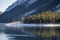 A couple of trees illuminated by the sun in the evening at lake plansee