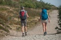 Couple of trekkers walking at the top with backpack