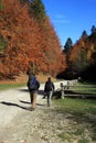 Couple trekking on the mountain on a sunny day