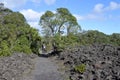 Couple trekking in Rangitoto Island New Zealand Royalty Free Stock Photo