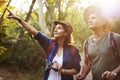 Couple trekking together into forest Royalty Free Stock Photo