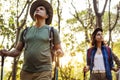 Couple trekking together in a forest Royalty Free Stock Photo