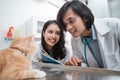 couple of vets observing a brown cat Royalty Free Stock Photo