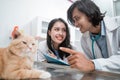 couple of vets with pointing fingers observing a brown cat Royalty Free Stock Photo