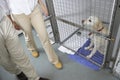 Couple Visiting Pet Dog