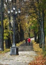 Couple walk on park alley