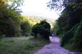 couple walking along the path in the forest, walking in the park in the mountains. Royalty Free Stock Photo