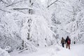 Couple walking along a snowy path while out hiking Royalty Free Stock Photo