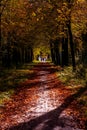 Couple walking in autumn park
