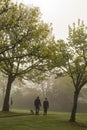 Couple walking dog through foggy park