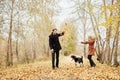 Couple walking with dog in the Park and hugging. Autumn walk men Royalty Free Stock Photo