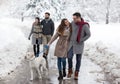 Couple walking dog in park on snow Royalty Free Stock Photo