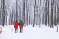 Couple walking with a dog in a snowy park