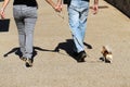 Couple walking dog together
