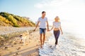 Couple walking with dogs on beach Royalty Free Stock Photo