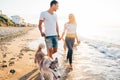 Couple walking with dogs on beach Royalty Free Stock Photo